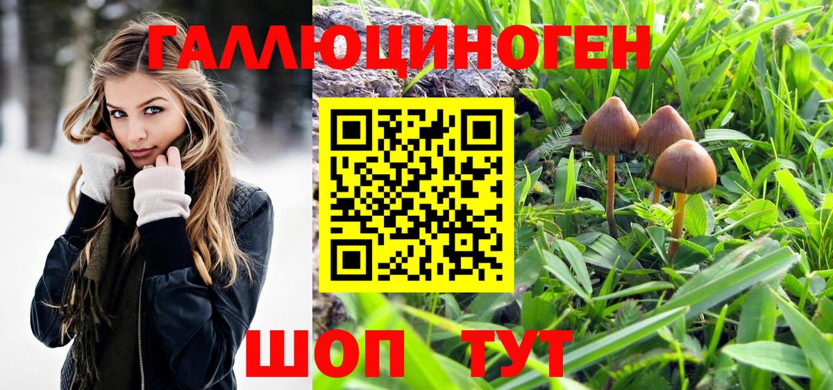 Псилоцибиновые грибы прущие грибы  Вход с VPN  Большой Камень 