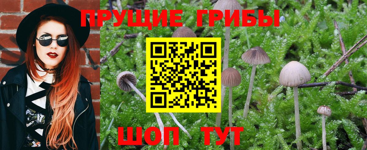 Галлюциногенные грибы GOLDEN TEACHER Большой Камень